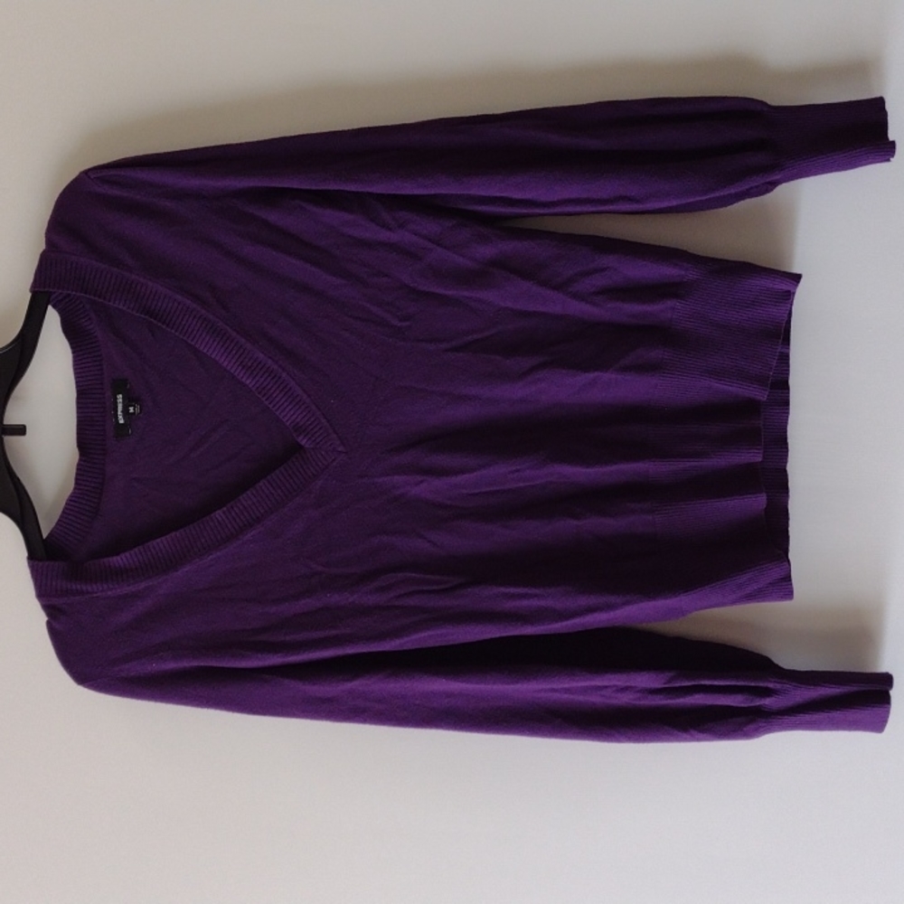 Express Fitted V-Neck Purple Sweater